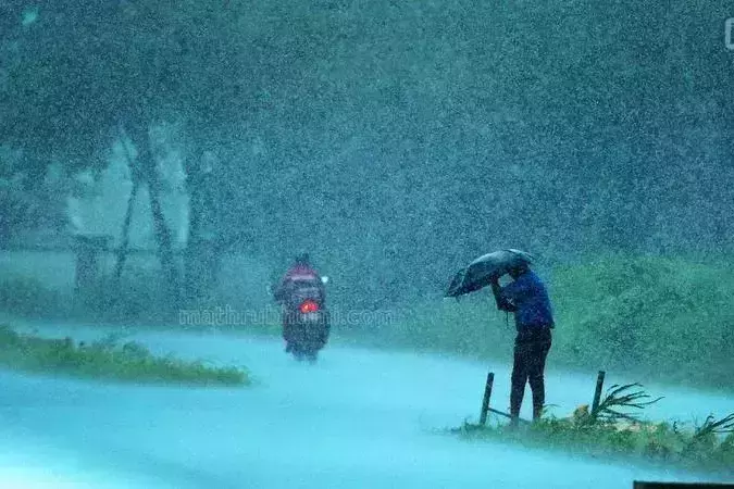 മഴ തുടരുന്നു; കണ്ണൂര്‍, കാസര്‍കോട് ജില്ലകളിലെ വിദ്യാഭ്യാസ സ്ഥാപനങ്ങള്‍ക്ക് നാളെ അവധി