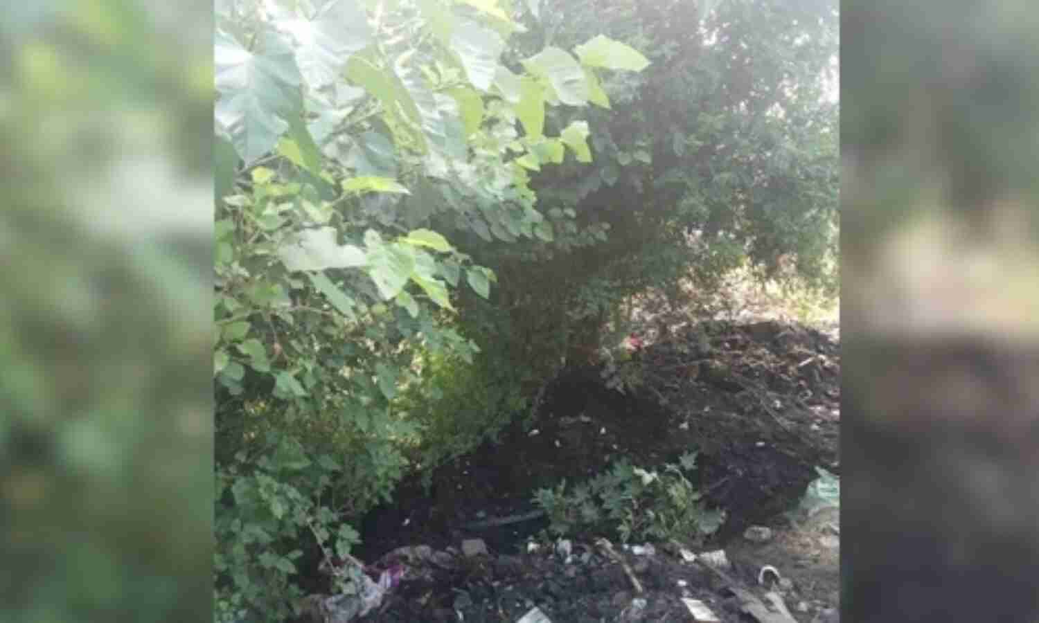 മരത്തിനു കീഴില് ഉറങ്ങിക്കിടന്നയാള്ക്ക് മേല് നഗരസഭാ ജീവനക്കാര് ചെളി തള്ളി; മരണം മരത്തിനു കീഴില് ഉറങ്ങിക്കിടന്നയാള്ക്ക് മേല് നഗരസഭാ ജീവനക്കാര് ചെളി തള്ളി; മരണം
