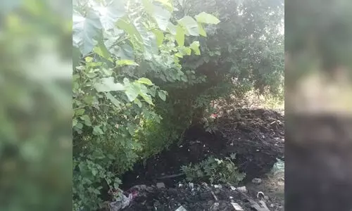 മരത്തിനു കീഴില്‍ ഉറങ്ങിക്കിടന്നയാള്‍ക്ക് മേല്‍ നഗരസഭാ ജീവനക്കാര്‍ ചെളി തള്ളി; മരണം