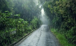 เดเดเตเดเตเดเดฟเดฏเดฟเดฒเตโ เดตเดฟเดฆเตเดฏเดพเดญเตเดฏเดพเดธ เดธเตเดฅเดพเดชเดจเดเตเดเดณเตโเดเตเดเต เดจเดพเดณเต เด
เดตเดงเดฟ เดเดเตเดเตเดเดฟเดฏเดฟเดฒเตโ เดตเดฟเดฆเตเดฏเดพเดญเตเดฏเดพเดธ เดธเตเดฅเดพเดชเดจเดเตเดเดณเตโเดเตเดเต เดจเดพเดณเต เด
เดตเดงเดฟ