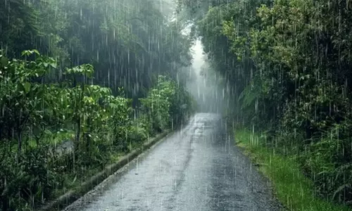 നിലമ്പൂര്‍ താലൂക്കിലും വിദ്യാഭ്യാസ സ്ഥാപനങ്ങള്‍ക്ക് അവധി