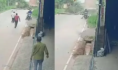 കണ്ണൂരില്‍ റോഡിലേക്ക് തെങ്ങ് പൊട്ടിവീണ് ബൈക്ക് യാത്രികന് ഗുരുതരപരിക്ക്