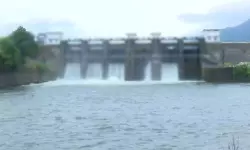 เดฎเดฒเดเตเดเดฐ เดกเดพเดฎเดฟเดจเตเดฑเต เดทเดเตเดเดฑเตเดเดณเตโ เดคเตเดฑเดจเตเดจเต เดฎเดฒเดเตเดเดฐ เดกเดพเดฎเดฟเดจเตเดฑเต เดทเดเตเดเดฑเตเดเดณเตโ เดคเตเดฑเดจเตเดจเต