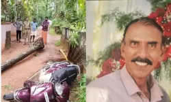 เดเดเดฟเดเตเดเตเดฃเตเดเดฟเดฐเตเดจเตเดจ เดธเตโเดเตเดเตเดเดฑเดฟเดจเต เดฎเตเดเดณเดฟเดฒเตเดเตเดเต เดคเตเดเตเดเตเดตเตเดฃเต เดฏเดพเดคเตเดฐเดเตเดเดพเดฐเดจเตโ เดฎเดฐเดฟเดเตเดเต เดเดเดฟเดเตเดเตเดฃเตเดเดฟเดฐเตเดจเตเดจ เดธเตโเดเตเดเตเดเดฑเดฟเดจเต เดฎเตเดเดณเดฟเดฒเตเดเตเดเต เดคเตเดเตเดเตเดตเตเดฃเต เดฏเดพเดคเตเดฐเดเตเดเดพเดฐเดจเตโ เดฎเดฐเดฟเดเตเดเต