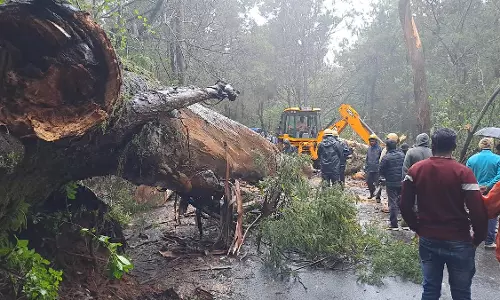 മഴ; ഊട്ടിയില്‍ റെഡ് അലര്‍ട്ട്; വിനോദസഞ്ചാര കേന്ദ്രങ്ങള്‍ അടച്ചു