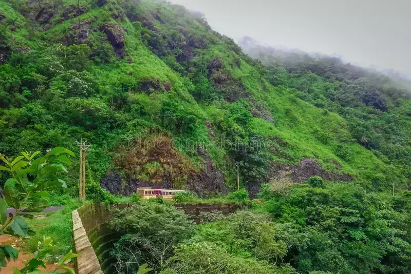 വാഗമണ് റോഡില് രാത്രി യാത്ര നിരോധിച്ചു; കോട്ടയം ജില്ലയില് എല്ലാവിധ ഖനന പ്രവര്ത്തനങ്ങളും നിര്ത്തിവച്ചു വാഗമണ് റോഡില് രാത്രി യാത്ര നിരോധിച്ചു; കോട്ടയം ജില്ലയില് എല്ലാവിധ ഖനന പ്രവര്ത്തനങ്ങളും നിര്ത്തിവച്ചു