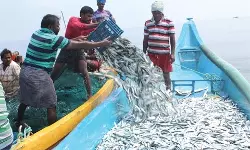 സംസ്ഥാനത്ത് മല്‍സ്യബന്ധന വിലക്ക്