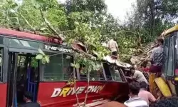 ബസിന് മുകളില് മരം വീണു; നിരവധി പേര്ക്ക് പരിക്ക് ബസിന് മുകളില് മരം വീണു; നിരവധി പേര്ക്ക് പരിക്ക്