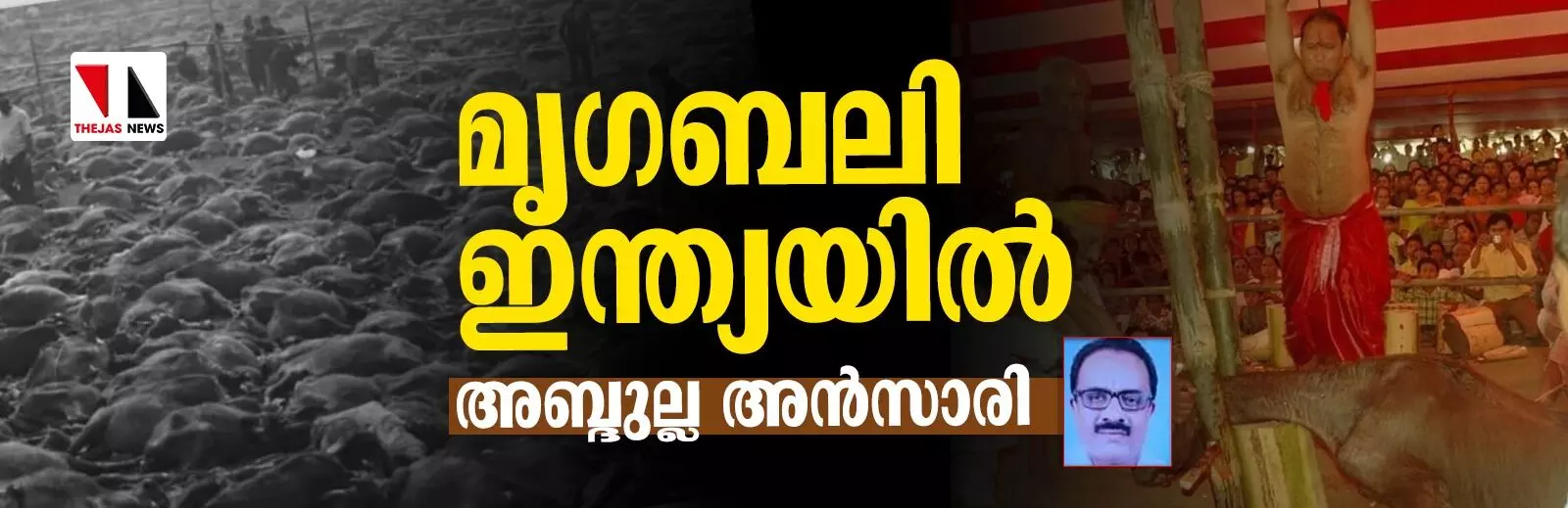 മൃഗബലി ഇന്ത്യയിൽ മൃഗബലി ഇന്ത്യയിൽ