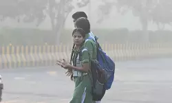 അതിശക്തമായ മഴ; ഏഴ് ജില്ലകളിലെ വിദ്യാഭ്യാസ സ്ഥാപനങ്ങള്ക്ക് നാളെ അവധി അതിശക്തമായ മഴ; ഏഴ് ജില്ലകളിലെ വിദ്യാഭ്യാസ സ്ഥാപനങ്ങള്ക്ക് നാളെ അവധി