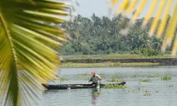 കുമ്പളം കായലില് വള്ളം മറിഞ്ഞു: ഒരാളെ കാണാതായി കുമ്പളം കായലില് വള്ളം മറിഞ്ഞു: ഒരാളെ കാണാതായി