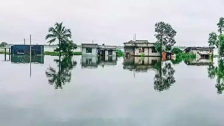 ആലപ്പുഴയില്‍ മീന്‍ പിടിക്കാന്‍ പോയ ആളെ വെള്ളക്കെട്ടില്‍ മരിച്ച നിലയില്‍ കണ്ടെത്തി