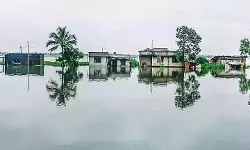 ആലപ്പുഴയില് മീന് പിടിക്കാന് പോയ ആളെ വെള്ളക്കെട്ടില് മരിച്ച നിലയില് കണ്ടെത്തി ആലപ്പുഴയില് മീന് പിടിക്കാന് പോയ ആളെ വെള്ളക്കെട്ടില് മരിച്ച നിലയില് കണ്ടെത്തി