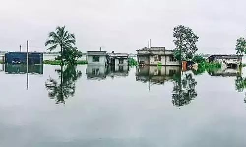 ആലപ്പുഴയില്‍ മീന്‍ പിടിക്കാന്‍ പോയ ആളെ വെള്ളക്കെട്ടില്‍ മരിച്ച നിലയില്‍ കണ്ടെത്തി
