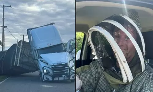 യുഎസില്‍ ട്രക്ക് മറിഞ്ഞ് 25 കോടി തേനീച്ചകള്‍ രക്ഷപ്പെട്ടു