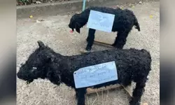 മുസ്ലിംകള് കളിമണ് ആടുകളെ ബലി നല്കിയാല് മതിയെന്ന് ഹിന്ദുത്വ സംഘടന; വില്ക്കാനായി ആടുകളെയും തയ്യാറാക്കി മുസ്ലിംകള് കളിമണ് ആടുകളെ ബലി നല്കിയാല് മതിയെന്ന് ഹിന്ദുത്വ സംഘടന; വില്ക്കാനായി ആടുകളെയും തയ്യാറാക്കി