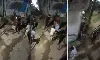 ചമ്പാരനില്‍ മുസ്‌ലിം വയോധികനെ തല്ലിക്കൊന്നു (video)