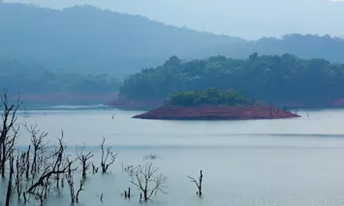 വയനാട് ബാണാസുര ഡാമിലെ ജലനിരപ്പ് ഉയര്ന്നു; ജനങ്ങള് ജാഗ്രത പാലിക്കണമെന്ന് കലക്ടര് വയനാട് ബാണാസുര ഡാമിലെ ജലനിരപ്പ് ഉയര്ന്നു; ജനങ്ങള് ജാഗ്രത പാലിക്കണമെന്ന് കലക്ടര്