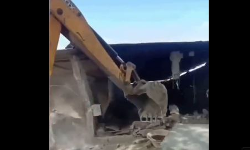 പശുക്കളെ കശാപ്പ് ചെയ്തെന്നാരോപിച്ച് മുസ്ലിംകളുടെ വീട് പൊളിച്ചു(video) പശുക്കളെ കശാപ്പ് ചെയ്തെന്നാരോപിച്ച് മുസ്ലിംകളുടെ വീട് പൊളിച്ചു(video)