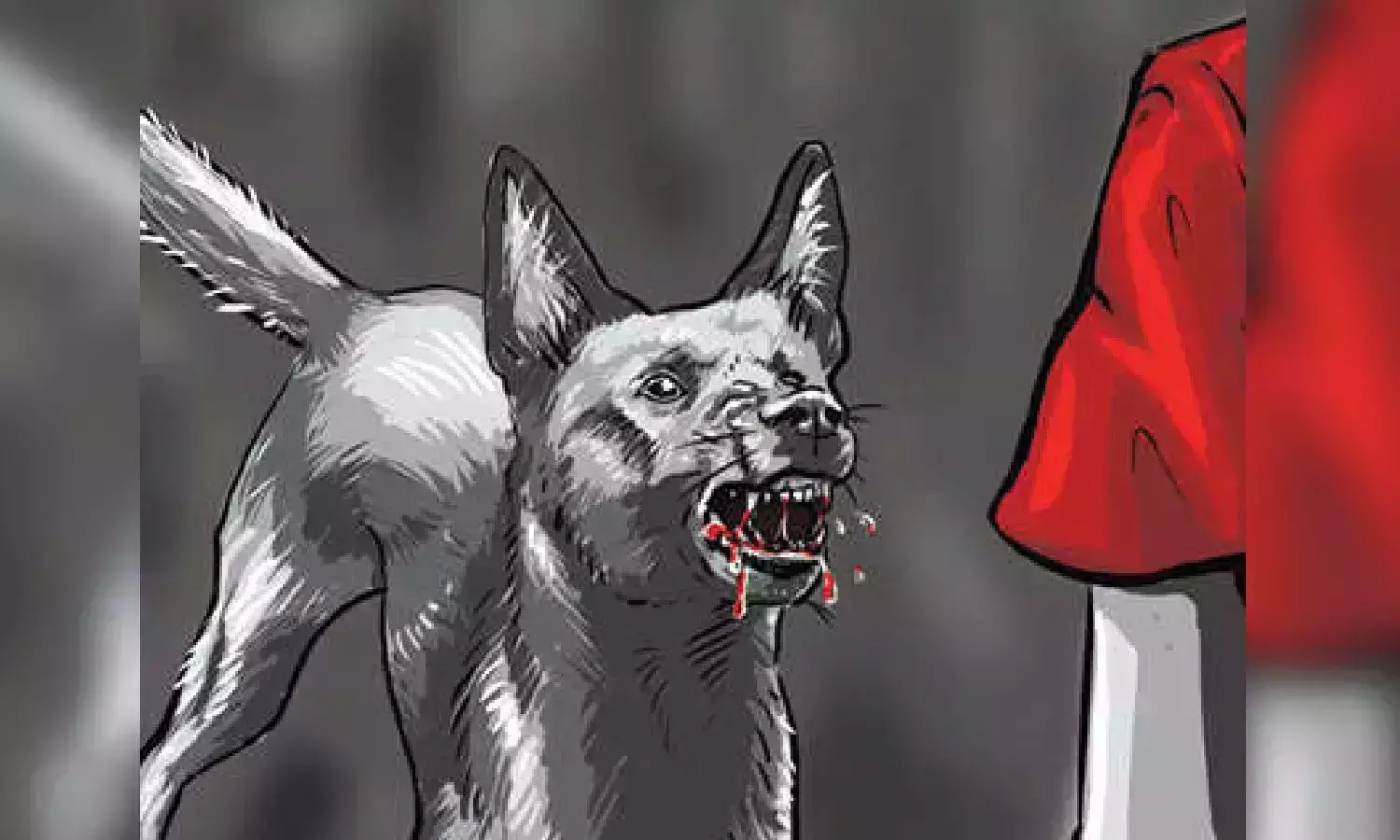 തെരുവുനായ്ക്കളെ നീക്കം ചെയ്യാന് സുപ്രിംകോടതി ഉത്തരവ്; പിടികൂടുന്ന നായ്ക്കളെ വന്ധ്യംകരിക്കണം തെരുവുനായ്ക്കളെ നീക്കം ചെയ്യാന് സുപ്രിംകോടതി ഉത്തരവ്; പിടികൂടുന്ന നായ്ക്കളെ വന്ധ്യംകരിക്കണം