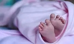 പാലക്കാട് ആംബുലന്സില് പ്രസവിച്ച ആദിവാസി യുവതിയുടെ കുഞ്ഞ് മരിച്ചു പാലക്കാട് ആംബുലന്സില് പ്രസവിച്ച ആദിവാസി യുവതിയുടെ കുഞ്ഞ് മരിച്ചു