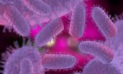 เดชเดจเดฟ เดฌเดพเดงเดฟเดเตเดเต เดฎเดฐเดฟเดเตเดเดฏเดพเดณเตโเดเตเดเต เดชเตเดตเดฟเดทเดฌเดพเดง เดธเตเดฅเดฟเดฐเตเดเดฐเดฟเดเตเดเต เดชเดจเดฟ เดฌเดพเดงเดฟเดเตเดเต เดฎเดฐเดฟเดเตเดเดฏเดพเดณเตโเดเตเดเต เดชเตเดตเดฟเดทเดฌเดพเดง เดธเตเดฅเดฟเดฐเตเดเดฐเดฟเดเตเดเต