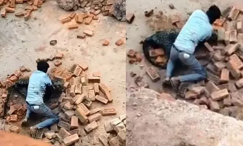 ഇഷ്ടികക്കളത്തില് പുലിയുമായി ഏറ്റുമുട്ടി യുവാവ് (വീഡിയോ) ഇഷ്ടികക്കളത്തില് പുലിയുമായി ഏറ്റുമുട്ടി യുവാവ് (വീഡിയോ)