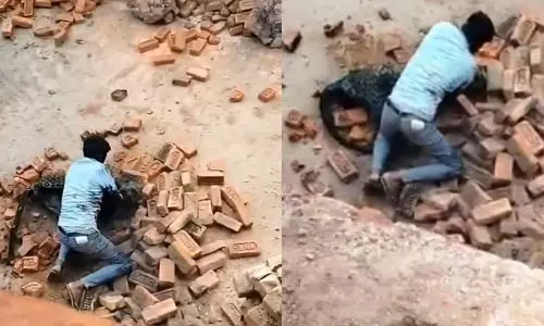 ഇഷ്ടികക്കളത്തില്‍ പുലിയുമായി ഏറ്റുമുട്ടി യുവാവ് (വീഡിയോ)