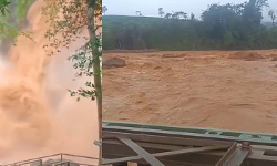 ചൂരല്‍ മലയില്‍ കനത്ത മഴ; ബെയ് ലി പാലം താല്‍ക്കാലികമായി അടച്ചു; മഴ കുറയുന്നതു വരെ പ്രവേശനം ഇല്ല