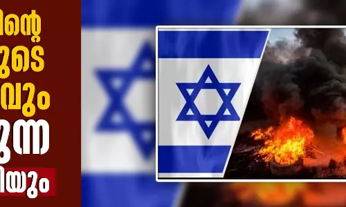 ഇസ്രായേലിന്റെ വഞ്ചനാ സിദ്ധാന്തവും കുറയുന്ന ഫലപ്രാപ്തിയും