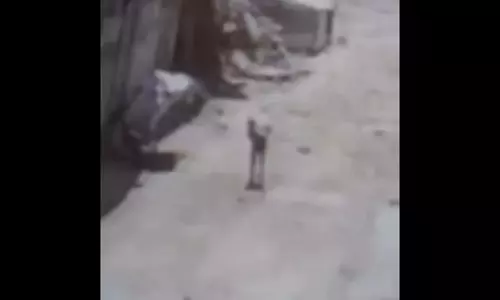 ധാന്യപ്പൊടിയുമായി പോവുകയായിരുന്ന ഫലസ്തീനിയെ കൊലപ്പെടുത്തി ഇസ്രായേല്‍ (വീഡിയോ)