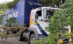 ഗൂഗിള് മാപ്പ് നോക്കി ഓടിച്ച ലോറി മരങ്ങള്ക്കിടയില് കുടുങ്ങി ഗൂഗിള് മാപ്പ് നോക്കി ഓടിച്ച ലോറി മരങ്ങള്ക്കിടയില് കുടുങ്ങി