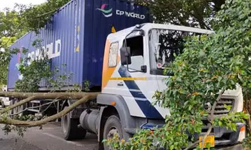 ഗൂഗിള്‍ മാപ്പ് നോക്കി ഓടിച്ച ലോറി മരങ്ങള്‍ക്കിടയില്‍ കുടുങ്ങി