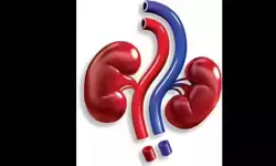 ഗുജറാത്തില്‍ അനധികൃത മരുന്ന് പരീക്ഷണം; 741 മരണത്തില്‍ അന്വേഷണം