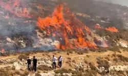 വെസ്റ്റ്ബാങ്കില്‍ ഫലസ്തീനികളെ ആക്രമിച്ച് ജൂത കുടിയേറ്റക്കാര്‍