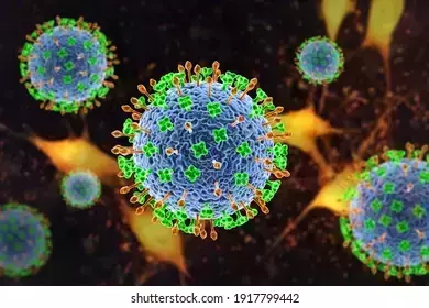 നിപ സമ്പർക്കപ്പട്ടികയിലുള്ള സ്ത്രീ മരിച്ചു