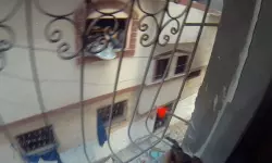 സ്നൈപ്പര് തോക്കുകള്, ആര്പിജികള്, പതിയിരുന്ന് ആക്രമണം: ഗസയിലെ വീഡിയോ പുറത്തുവിട്ട് അല് ഖസ്സം ബ്രിഗേഡ് സ്നൈപ്പര് തോക്കുകള്, ആര്പിജികള്, പതിയിരുന്ന് ആക്രമണം: ഗസയിലെ വീഡിയോ പുറത്തുവിട്ട് അല് ഖസ്സം ബ്രിഗേഡ്