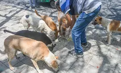 เดคเตเดฐเตเดตเตเดจเดพเดฏเดเดณเตโเดเตเดเต เดเดฑเดเตเดเดฟเดฏเตเด เดเตเดฑเตเด; เดชเตเดคเดฟเดฏ เดชเดฆเตเดงเดคเดฟเดฏเตเดฎเดพเดฏเดฟ เดฌเดเดเดณเตเดฐเต เดเตเดฐเตโเดชเตเดชเดฑเตเดทเดจเตโ เดคเตเดฐเตเดตเตเดจเดพเดฏเดเดณเตโเดเตเดเต เดเดฑเดเตเดเดฟเดฏเตเด เดเตเดฑเตเด; เดชเตเดคเดฟเดฏ เดชเดฆเตเดงเดคเดฟเดฏเตเดฎเดพเดฏเดฟ เดฌเดเดเดณเตเดฐเต เดเตเดฐเตโเดชเตเดชเดฑเตเดทเดจเตโ