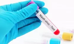 നിപയിൽ ആശ്വാസം; 15 വയസ്സുകാരിയുടെ പരിശോധനാഫലം നെഗറ്റീവ്