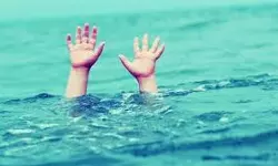 เดเตเดเตเดเตเดเดพเดฐเตเดฎเดพเดฏเดฟ เดเตเดณเดคเตเดคเดฟเดฒเตโ เดเตเดณเดฟเดเตเดเดพเดจเตโ เดชเตเดฏ เดตเดฟเดฆเตเดฏเดพเดฐเตโเดฅเดฟ เดฎเตเดเตเดเดฟ เดฎเดฐเดฟเดเตเดเต เดเตเดเตเดเตเดเดพเดฐเตเดฎเดพเดฏเดฟ เดเตเดณเดคเตเดคเดฟเดฒเตโ เดเตเดณเดฟเดเตเดเดพเดจเตโ เดชเตเดฏ เดตเดฟเดฆเตเดฏเดพเดฐเตโเดฅเดฟ เดฎเตเดเตเดเดฟ เดฎเดฐเดฟเดเตเดเต