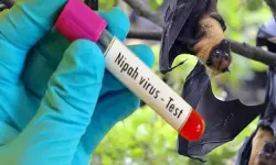 നിപ: സമ്പര്ക്കപ്പട്ടികയില് 543 പേര്, ആറ് ജില്ലയിലെ ആശുപത്രികള്ക്ക് ജാഗ്രതാ നിര്ദേശം നിപ: സമ്പര്ക്കപ്പട്ടികയില് 543 പേര്, ആറ് ജില്ലയിലെ ആശുപത്രികള്ക്ക് ജാഗ്രതാ നിര്ദേശം