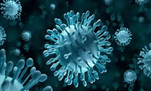 ബംഗ്ലാദേശില്‍ നിപ വൈറസ് ബാധിച്ച് ഒരു മരണം; മുന്നറിയിപ്പ് നല്‍കി ലോകാരോഗ്യ സംഘടന