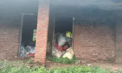 പന്തളത്തെ അനധികൃത മാലിന്യസംഭരണം: വിദ്യാർത്ഥികൾക്ക് ജീവന് ഭീഷണി പന്തളത്തെ അനധികൃത മാലിന്യസംഭരണം: വിദ്യാർത്ഥികൾക്ക് ജീവന് ഭീഷണി