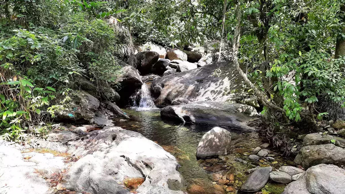 കോഴിക്കോട് കട്ടിപ്പാറ വനത്തില്‍ ഉരുള്‍പൊട്ടല്‍