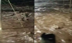 ആറളം മേഖലയില് മലവെള്ളപ്പാച്ചില്; 50ലധികം വീടുകളില് വെള്ളം കയറി ആറളം മേഖലയില് മലവെള്ളപ്പാച്ചില്; 50ലധികം വീടുകളില് വെള്ളം കയറി