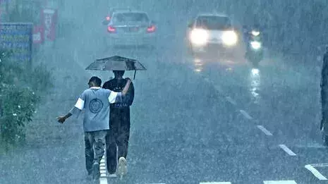 മഴ; വയനാട്ടിലെ വിദ്യാഭ്യാസ സ്ഥാപനങ്ങള്ക്ക് നാളെ അവധി മഴ; വയനാട്ടിലെ വിദ്യാഭ്യാസ സ്ഥാപനങ്ങള്ക്ക് നാളെ അവധി