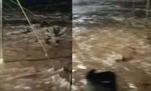 ആറളം മേഖലയില്‍ മലവെള്ളപ്പാച്ചില്‍;  50ലധികം വീടുകളില്‍ വെള്ളം കയറി