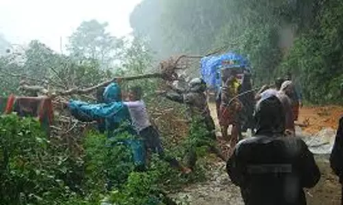 കനത്ത മഴ; ഉടുമ്പന്‍ചോലയില്‍ മരം വീണ് തൊഴിലാളി മരിച്ചു