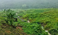 എല്ലാ കയ്യേറ്റക്കാരെയും നീക്കം ചെയ്യാന്‍ കുറഞ്ഞത് 10 വര്‍ഷമെടുക്കും; വനഭൂമിയും സര്‍ക്കാര്‍ഭൂമിയും തിരിച്ചുപിടിക്കാനായുള്ള പ്രവര്‍ത്തനങ്ങള്‍ ഊര്‍ജ്ജിതമാക്കും: ഹിമന്ത ബിശ്വ ശര്‍മ്മ