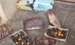 പോസ്റ്റ് ഓഫിസില് എത്തിയ പാഴ്സലില് നിന്നും പുക; എയര്ഗണ്ണിലെ പെല്ലറ്റുകള് കണ്ടെത്തി പോസ്റ്റ് ഓഫിസില് എത്തിയ പാഴ്സലില് നിന്നും പുക; എയര്ഗണ്ണിലെ പെല്ലറ്റുകള് കണ്ടെത്തി